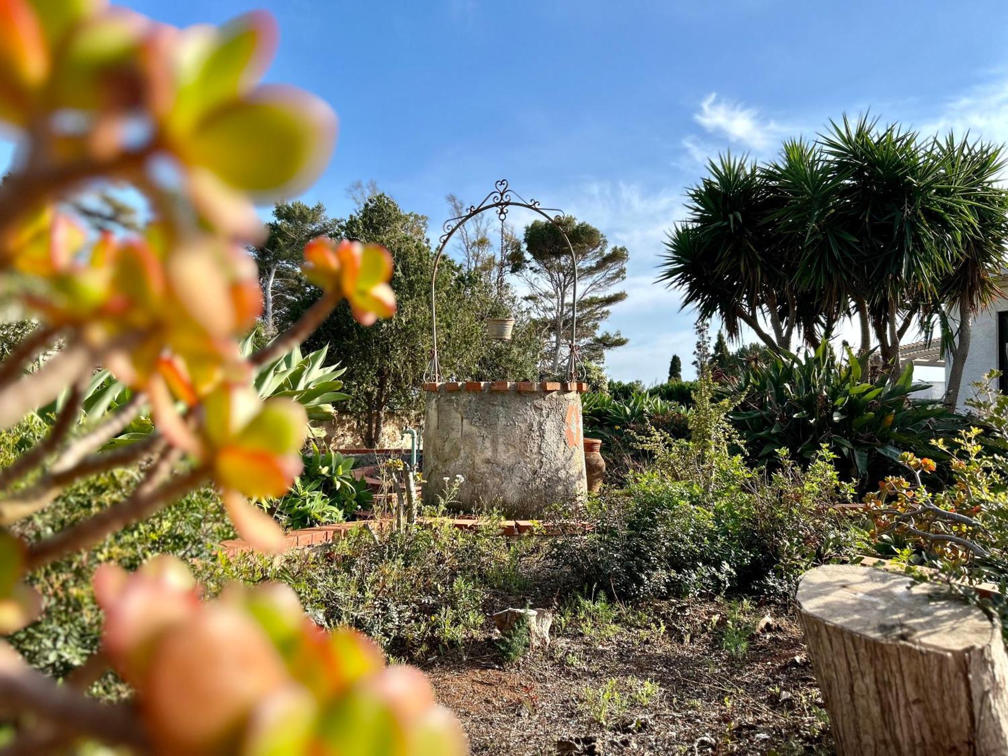 Villa Primavera Favignana Exterior foto